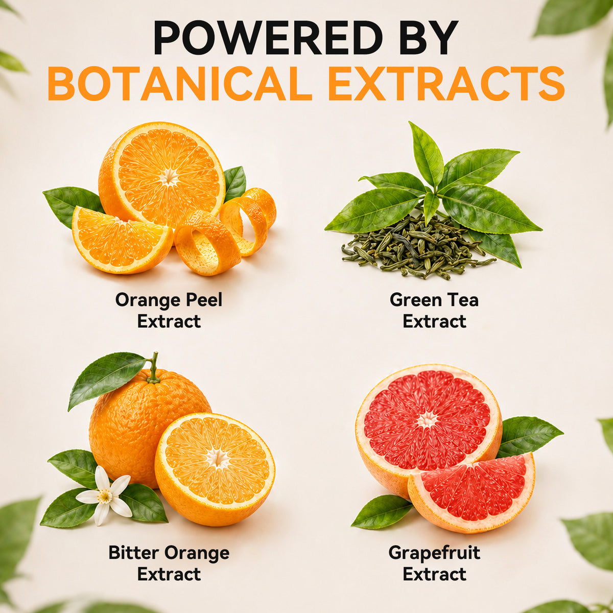 Graphic showing orange peel, bitter orange, grapefruit and green tea extracts
