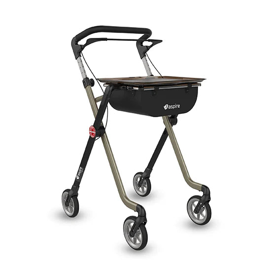 ASPIRE - VOGUE Indoor - Champagne/Black