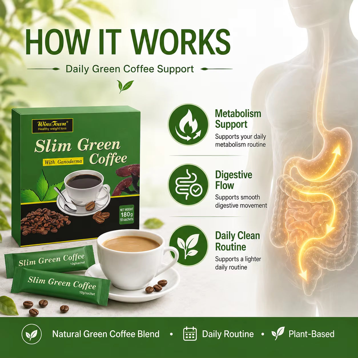WinsTown Slim Green Coffee with Ganoderma – 18 Sachets | 180g