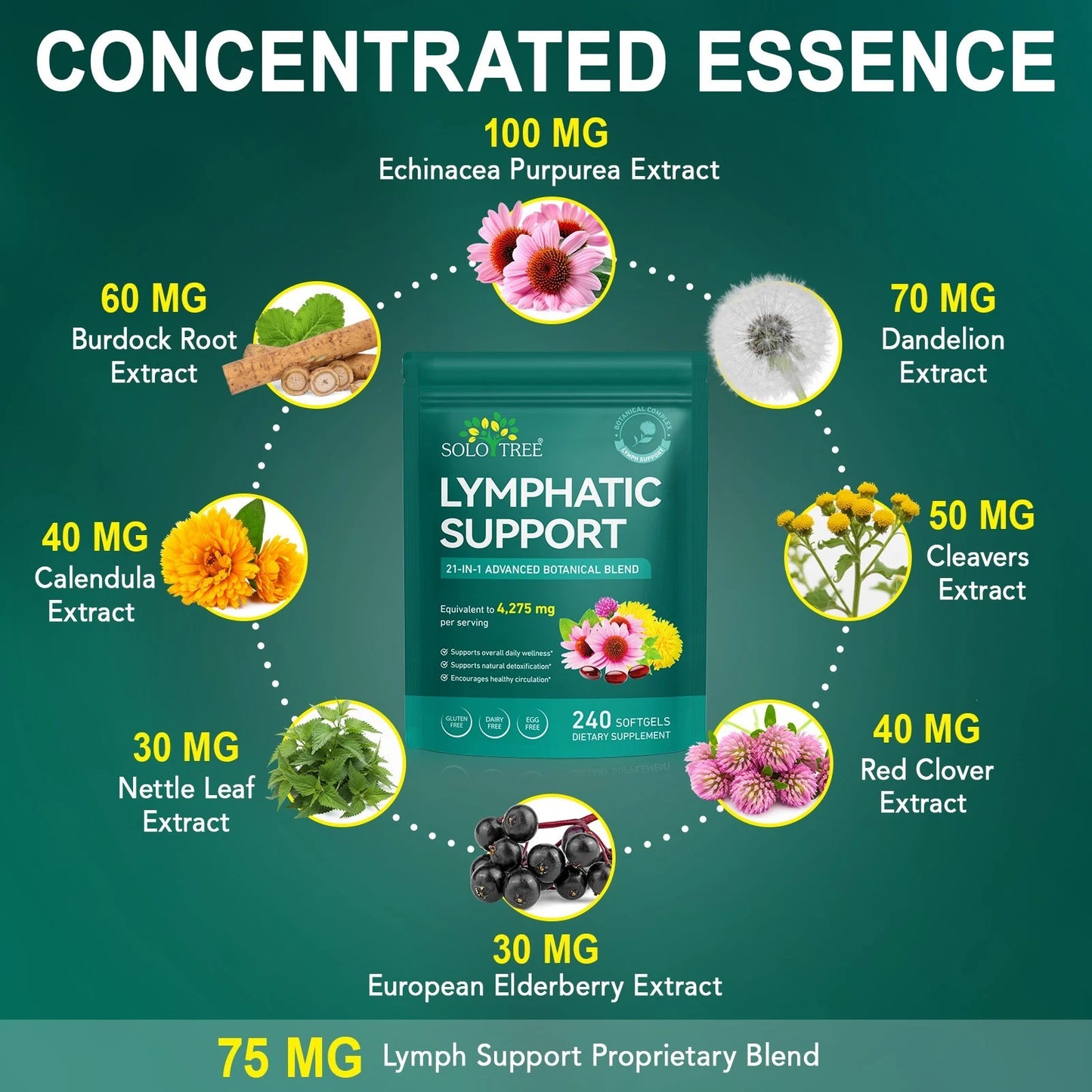 SOLOTREE Lymphatic Support Supplement 21-in-1 Botanical Complex – 240 Softgels